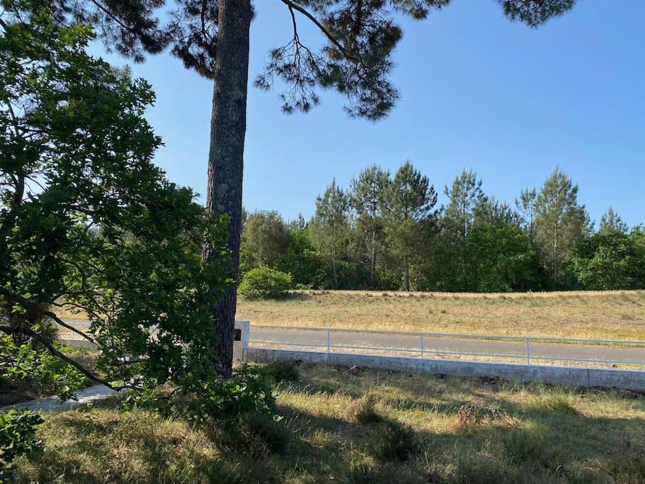 Holiday home Piscine Bord De Foret *