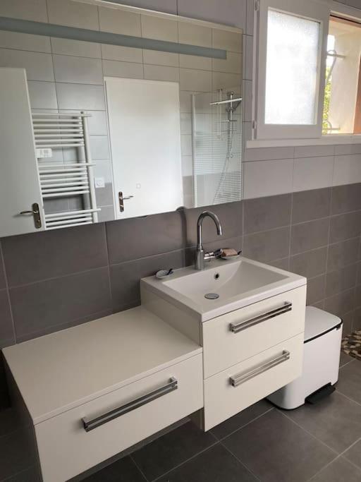 Piscine Bord De Foret *