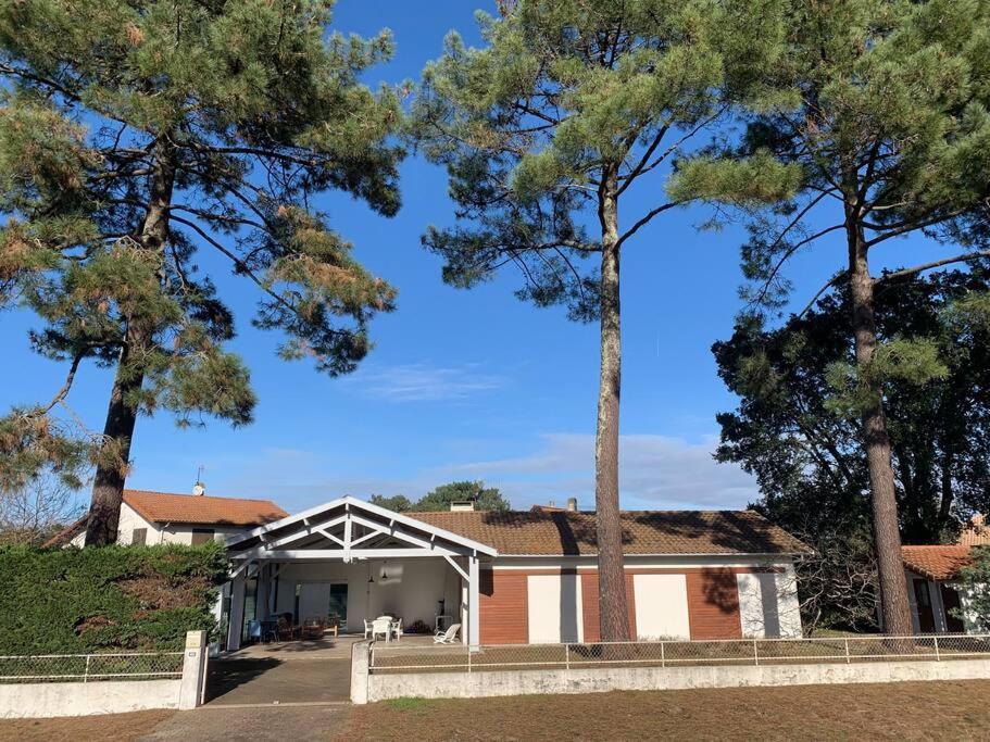 Piscine Bord De Foret Hébergement de vacances Mimizan